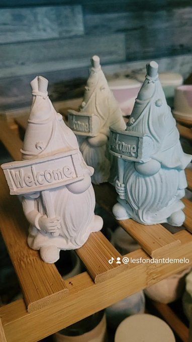Gnomes 