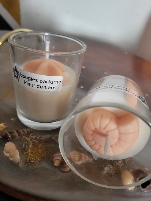 Mini bougies coquillages