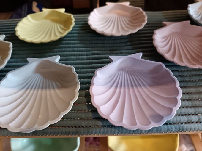 Coquillage vide poches