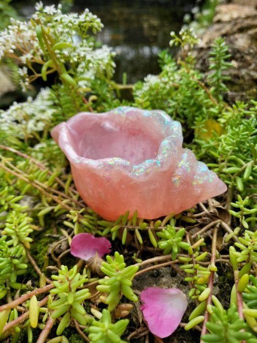 Mini coquillage vide poches